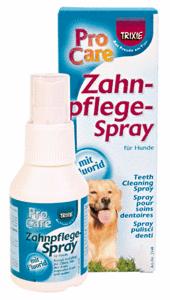 Zahnpflege-Spray, 50 ml