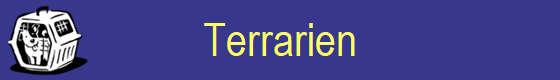 Terrarien