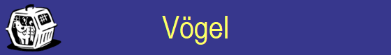 Vgel